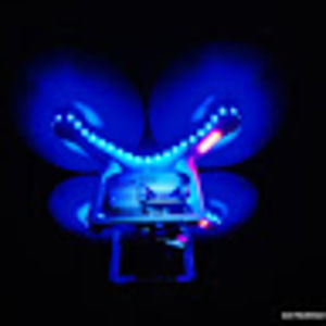 Meet your Posher, Eddie